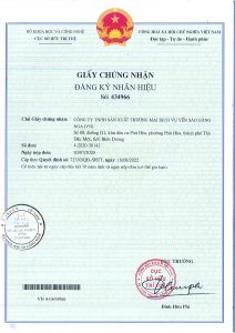 GiẤy Cn ĐĂng KÝ NhÃn HiỆu 1 Page 0001